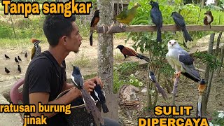 Download lagu INI SULIT DIPERCAYA_BURUNG-BURUNG RAWAT DI ALAM BERANAK LAGI😵 mp3