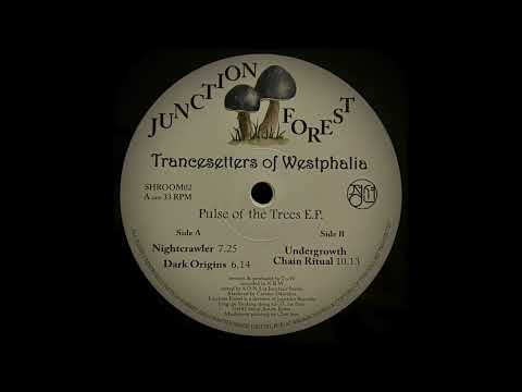 Dark Origins - Trancesetters of Westphalia | Junction Forest [2022]