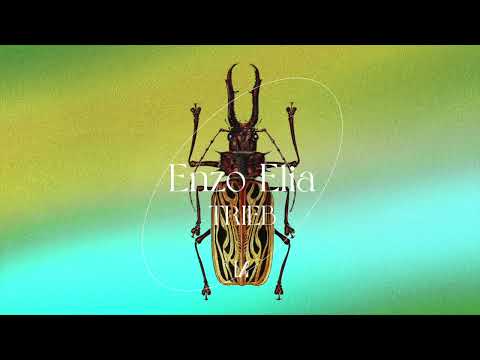 Enzo Elia Feat. Rokkerillo - For Sure - (Stereocalypse Rmx)