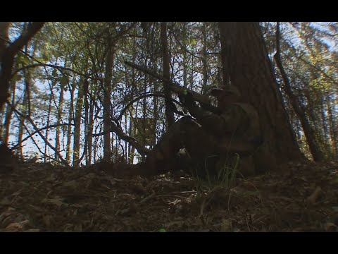 Non Resident Fishing License Ak and Similar Products and 