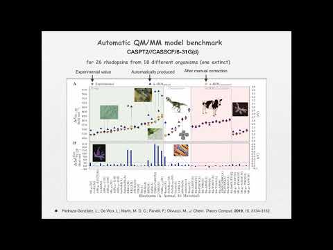 Recent Progress in QM/MM: Lectured by Dr. Massimo Olivucci
