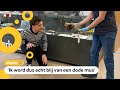Dit museum staat vol dode dieren met een verhaal