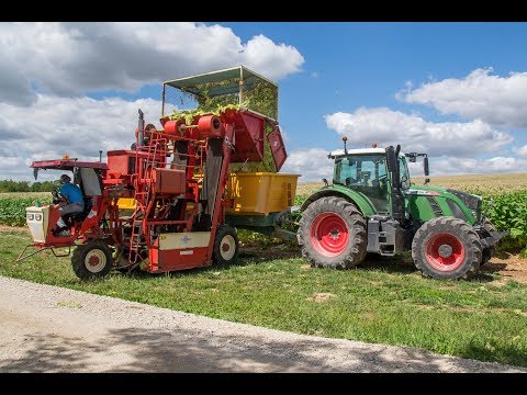 download lagu mp3 mp4 De Cloet, download lagu De Cloet gratis, unduh video klip De Cloet