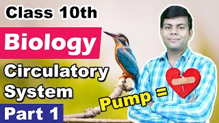Circulatory System Part 1 : Blood | Class 10th Biology
