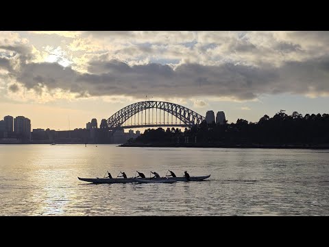 Sydney Harbour live cam