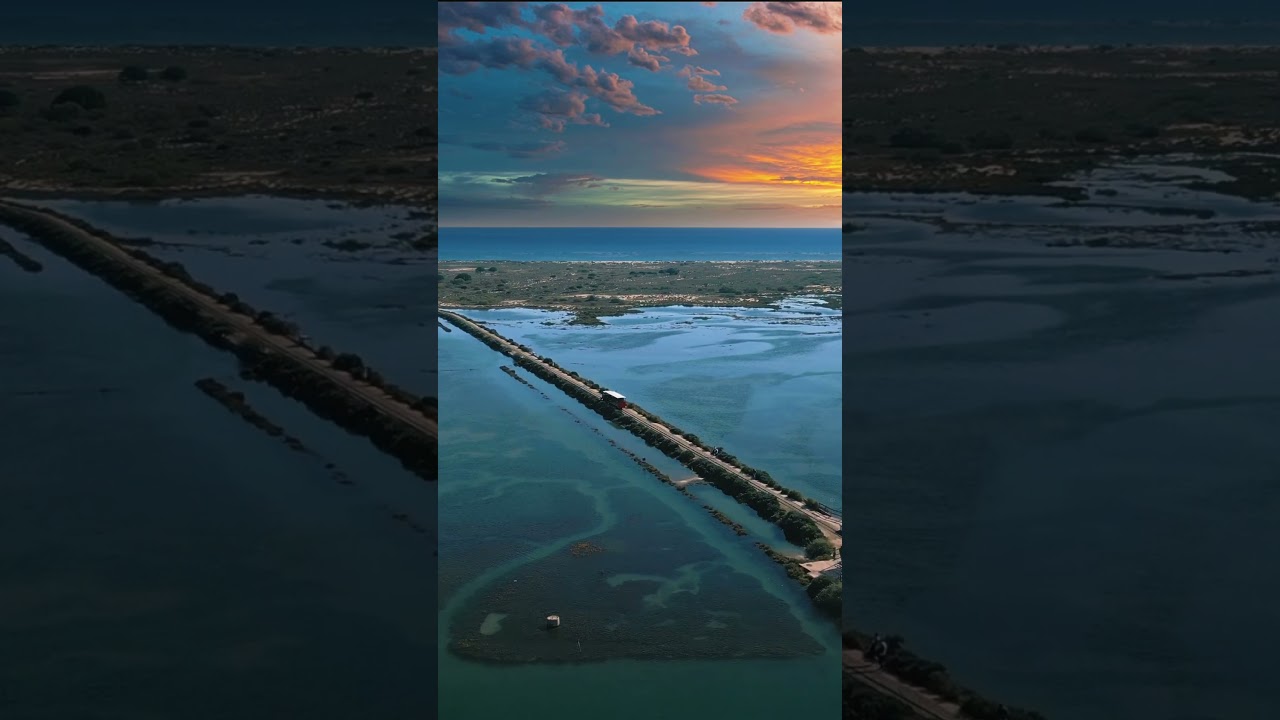 YouTube Short thumbnail