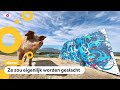Kunstwerk van varken 'Pigcasso' voor 23.000 verkocht