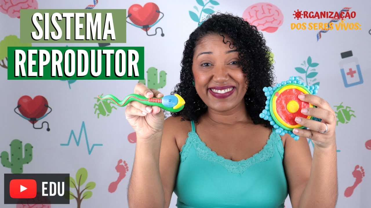 Sistema Reprodutor Ep.13