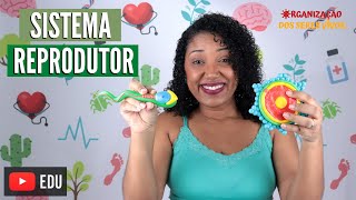 Sistema Reprodutor Ep.13