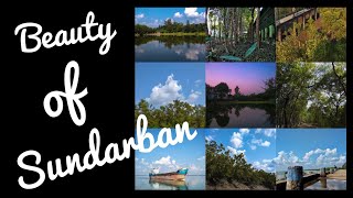 preview picture of video '| Beauty of Sundarban |'