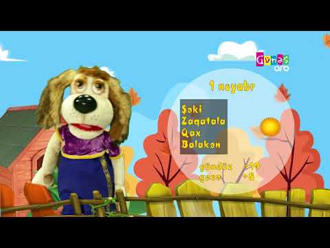 "Hava necə olacaq?" - 1 noyabr  2024-cü il