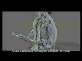 L Era Glaciale DVD Special Features Under The Ice Art Of Rigging
