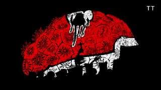 OTTO VØN ORCHESTRA | BORING