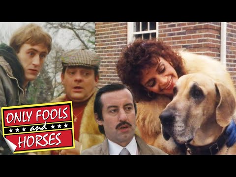 Boycie's Dangerous Dog Doesn't Like Rodney | Only Fools and Horses | BBC Comedy Greats