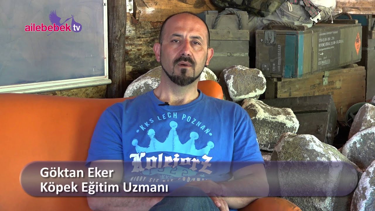 Köpek saldırdığında ne yapılmalı?