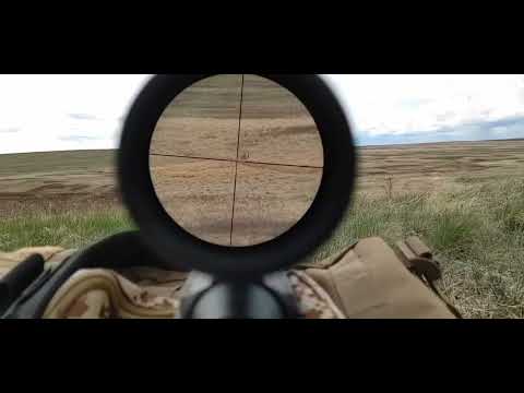 Mossberg Patriot Predator 7 PRC Complete Review - Better Than Expected?