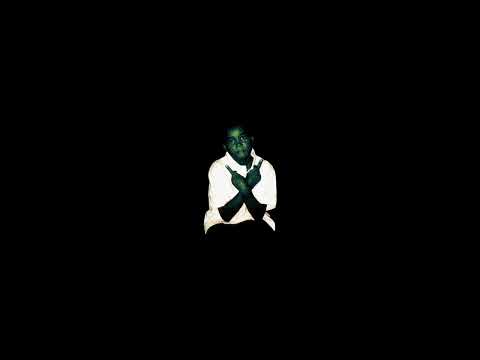Carson Stinger 12x32 žiūronai video