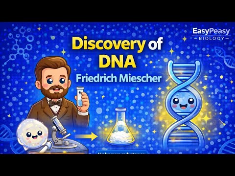 Discovery of DNA – Friedrich Miescher Explained Simply