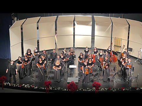 LSW Chamber Orchestra