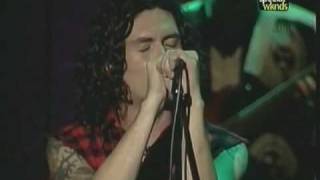 Caifanes   El animal unplugged