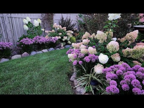 Mid August Walkabout & Garden Tour with Blooms Galore & Drone Views!  🌺😁🪷