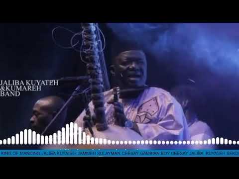 Jaliba Kuyateh: Saikou jammeh