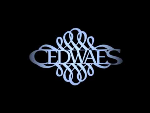 C2S - ŁOMŻANIN NIE ŁOMŻYNIAK IV (wersja 2010)