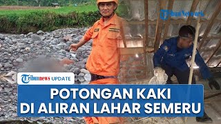 Geger Penemuan Potongan Kaki Manusia di Aliran Lahar Gunung Semeru, Diduga Mayat Penjual Nasi
