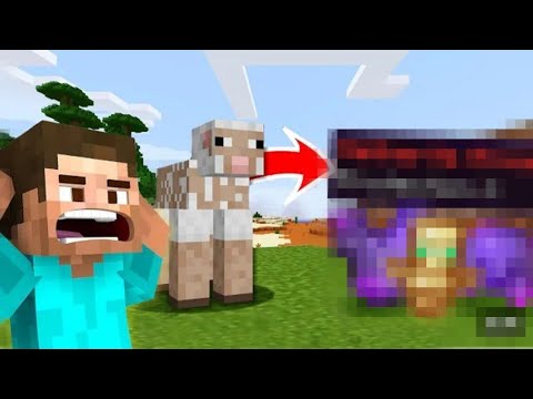 Minecraft but,shearing sheep give op items🤫🤫#minecraft #gaming #herobrine