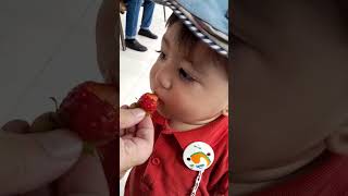 Download lagu Muhammad yusuf #tutturdur #nazdej #music #cutebaby mp3