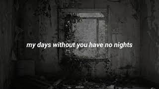 Shakira - Moscas en la casa // English Lyrics