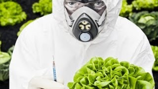 Obama Gives Monsanto Get Out of Jail Free Card