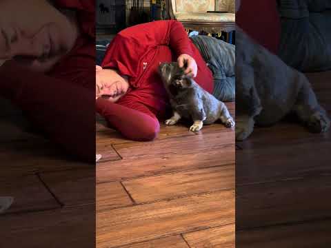 Video 5