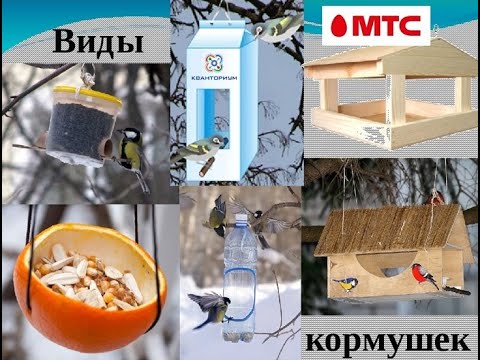 Советы участникам конкурса «Кормушка для птиц своими руками».