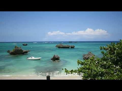 ヨウ島無人島ツアー