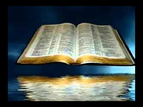 Explicación Deuteronomio 26:12. 'El tercer año, el año del diezmo, cuando acabes de separar todo el diezmo de tus frutos, darás también al levita, al extranjero, al huérfano y a la viuda, para que coman en tus aldeas hasta saciarse.' - BibliaBendita
