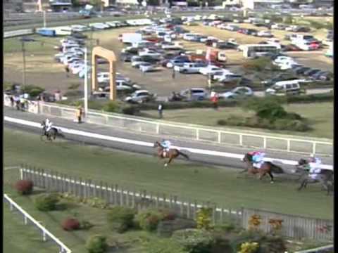 14th meeting race 146.avi