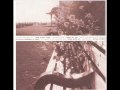 TREMBLING BLUE STARS - Here all day 