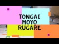 Tongai Moyo Rugare