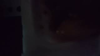 飯_131 少し暗い映像