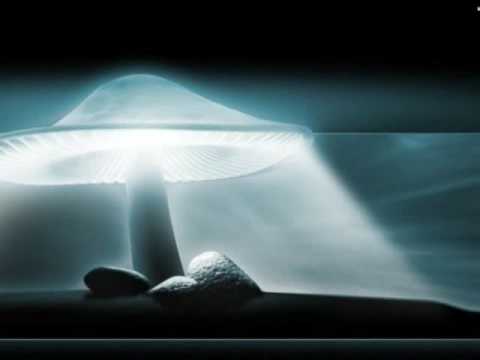 Cant Slow Down - Bastian Bates Feat Nicco [September 2009 Music]