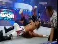 WWE The Bash 2009 Highlights 