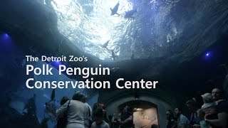 Detroit Zoo's  Polk Penguin Conservation Center — Opening Day
