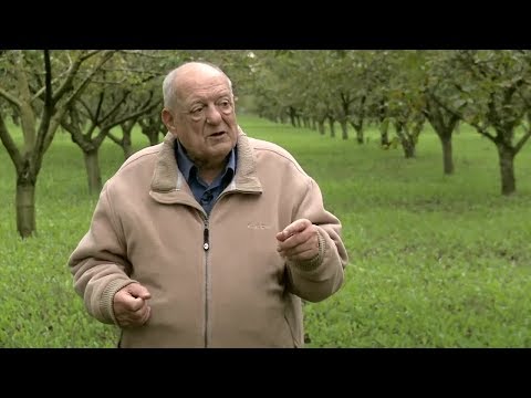 Klapka Györgyre emlékezünk | Háttér magazin 2017.10.02.