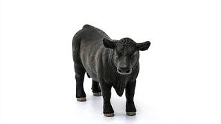 Schleich Anguský čierny býk