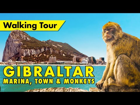 Gibraltar walking tour - Marina, town & monkeys - British overseas territory immersive virtual tour
