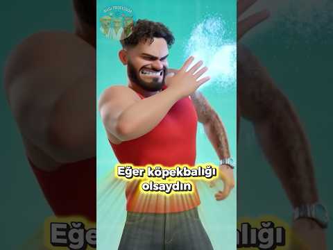 Ya Köpekbalığı Olsaydın? 🦈🌊💔