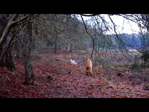 een ode aan de natuur, mama en (voornamelijk) adiva