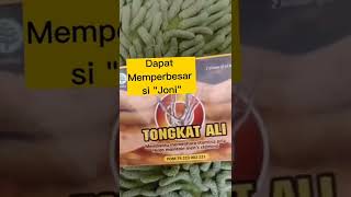 Download lagu Herbal Terviral Ditahun 2022 mp3