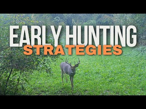 Early Season Whitetail Hunting Strategies